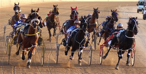 sa derby field|Harness Racing South Australia .